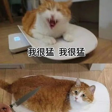 骚年好好学着点吧