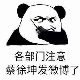 蔡徐坤表情包粉丝ikun专用
