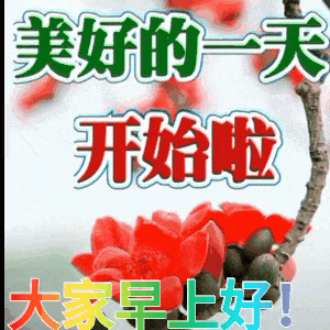 2021早上好动态表情包大全相逢是缘,感谢有您