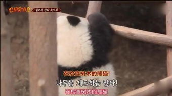挠痒