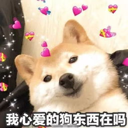 救命啊老板把我掉下来的乳贴,当冰箱贴贴在了公司墙上,我该怎么办在线等...