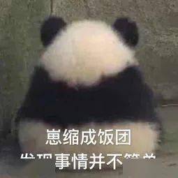 白冰要做唐唐第二偷高定穿山寨,从此进时尚圈黑名单