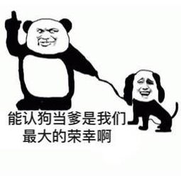 我的收藏夹