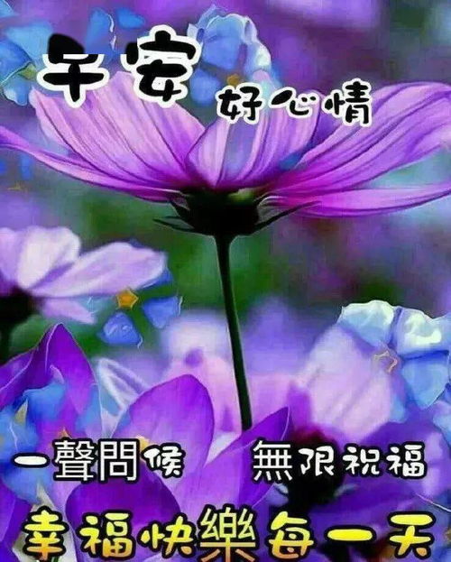 特温馨的早上好问候语图片带字新版大家早上好表情大全动态图片
