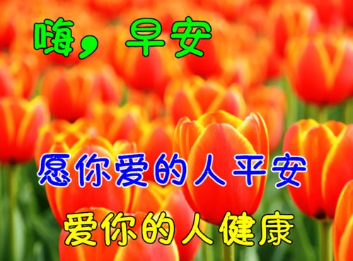 早上好动态表情图片大全,早晨好动图美图大全