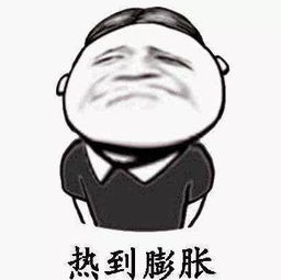 空调淋浴冰西瓜,动物园萌宝解暑记