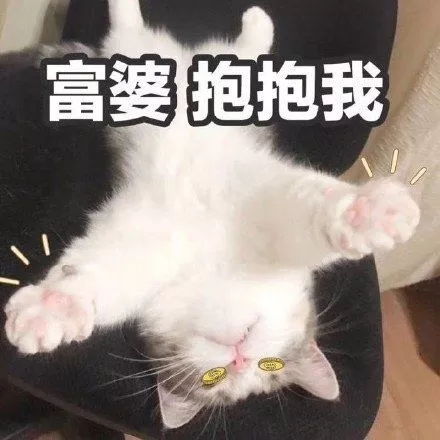 原来p这么值钱的