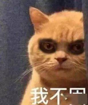 你也是月亮的秃头小宝贝吗