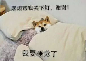 少女心大测试,女生节or妇女节,你过哪个钢铁直男也要看...