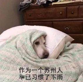 挺住大雨马上到苏州又要变天了...