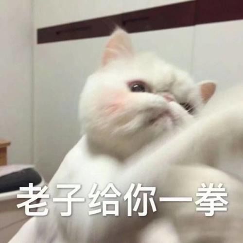 炮炮兵烧香表情包兔唇