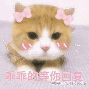 如何评价杨洋饰演的林动