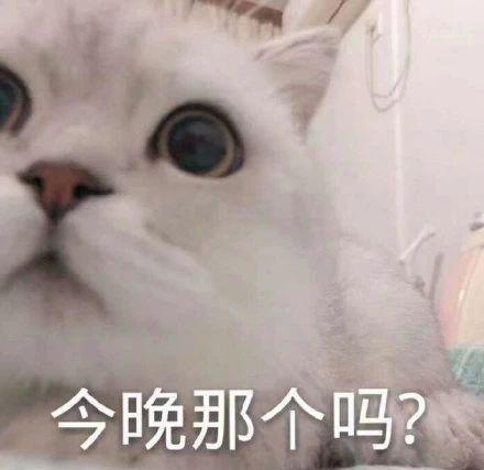 搞笑gif趣图本以为广场舞被妹子们占领了,没想到连秧歌也占领