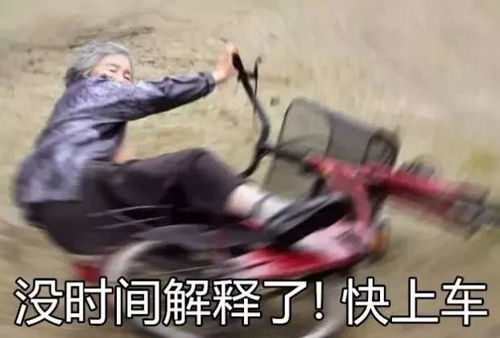 海盗表情包eve