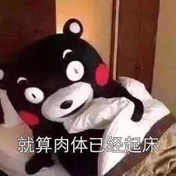 抖音熊本熊起床表情包大全抖音熊本熊起床是什么高清组图分享