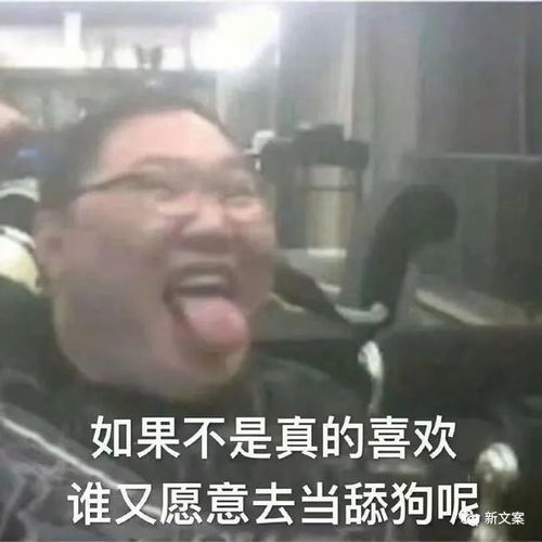 再也不舔狗了,我要做她的犬系男友哈哈神评笑死我了