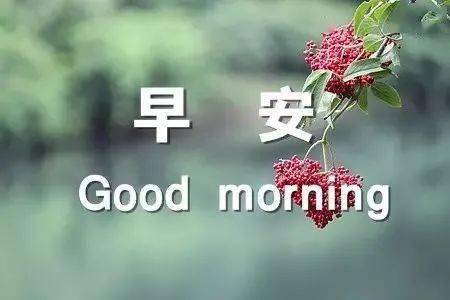周六特别漂亮早上好表情动态图片早上好问候祝福句子精选
