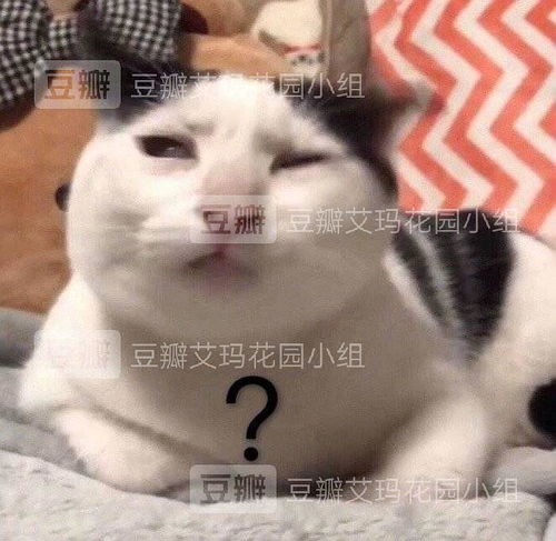 关于爱豆的收入水平