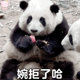 超可爱的熊猫表情包