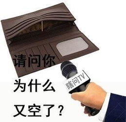 瞎问tv采访表情包钱包,请问你为什么又空了