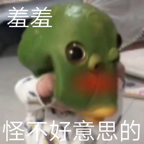 绿马受欢迎表情包柴妹