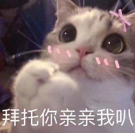 对小哥哥发的表情包做我男朋友,我会保护你