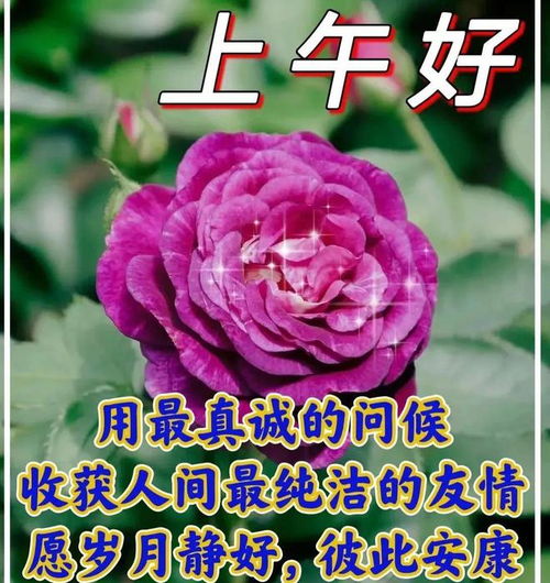 早安表情包祝福图片问候祝福语大全,愿健健康康,一帆风顺,永远快乐早上好好心情网易订阅