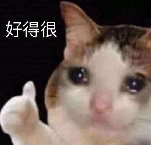 79岁大爷花6000元相亲只聊了8分钟她让我等两年