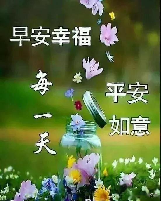 情人的泪,一滴就醉多情的泪,一揉就碎,早安