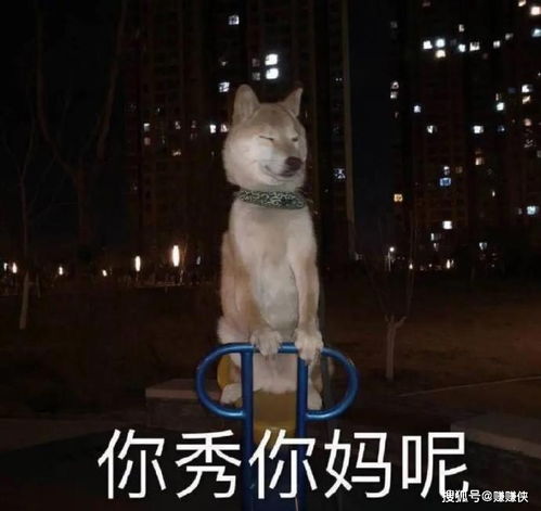 搞笑表情包图片你说不好笑我都笑一整天了