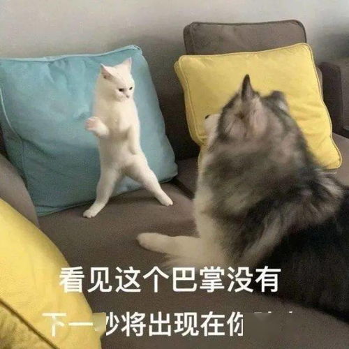 起床也要卷放过考研人吧