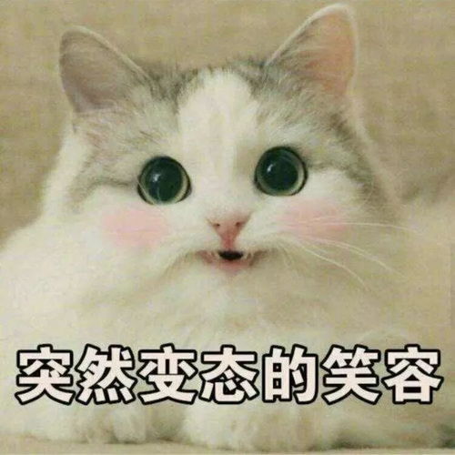 2017年度网友最惊艳的总结,没点中你算我输
