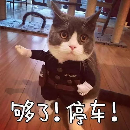 打麻将最忧伤的是三缺一最欢喜的是糊了但是,真正该小心的是麻将机糊了哟