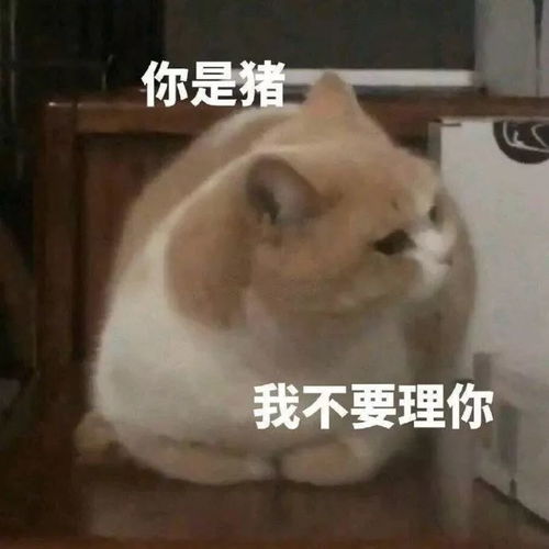小可爱们的表情包