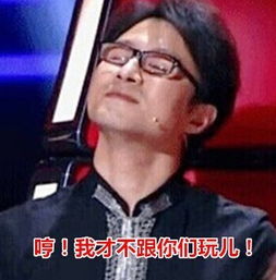 好声音3汪峰豪华表情包上头条莫艳琳没能再沾章子怡光河南分网