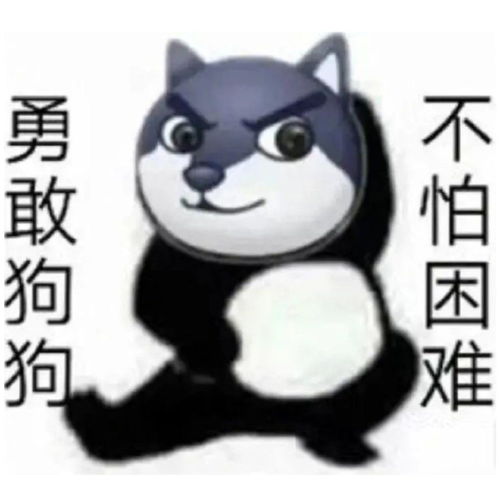 该收藏沙雕的表情包啦