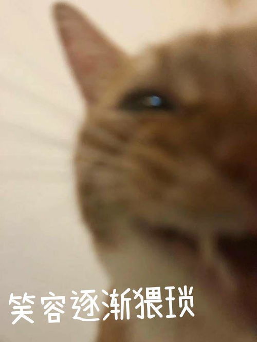 有哪些很骚很污的表情包