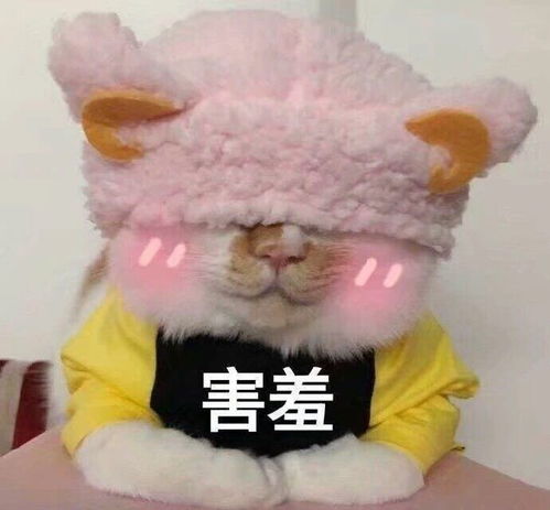 萌宠表情包宝宝一点也不开心