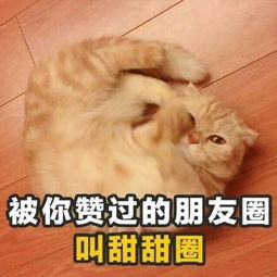 撩妹撩汉表情包发表情表情包大全微信表情包qq表情包fabiaoqing.com