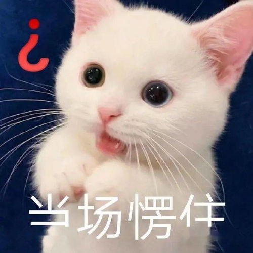 半夜听到男友叫你宝宝要小心了,否则...