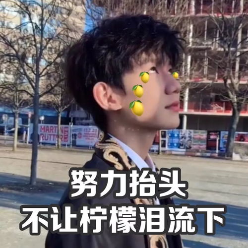 源哥看到了会不会打我们非常可爱的王源表情包一组