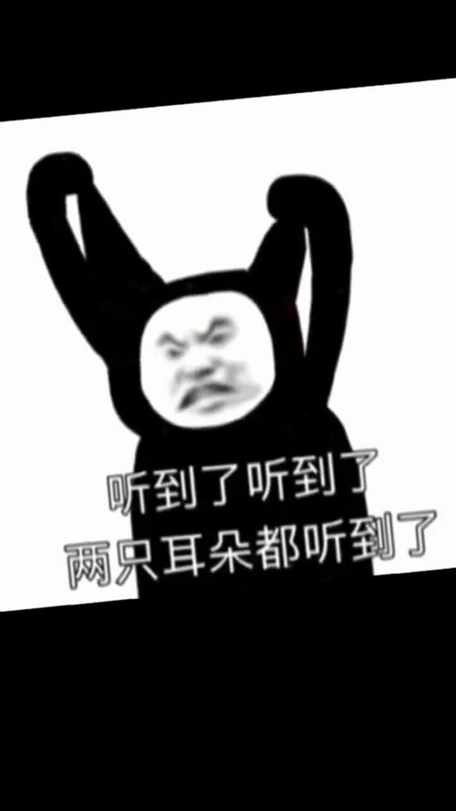 听到了吗聊天记录内容过于真实表情包