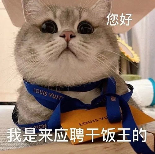 我的收藏