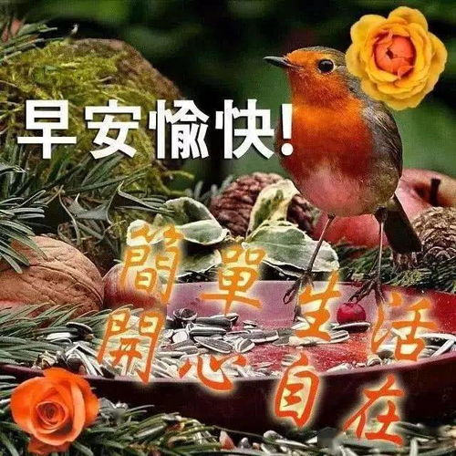 温馨的微信早安问候语,早上好鲜花问候图片带字