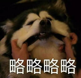 老公略略略