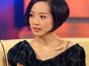 央视多事之秋郭振玺芮成钢等的央视江湖