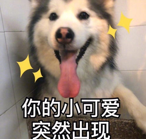 福利近期热门无水印表情包,拿走不谢