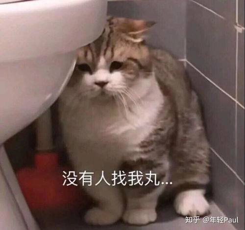 可以帮我推荐几句土味情话嘛