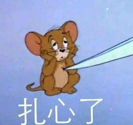 坚蛋干货你想要的高效减脂法在这里......