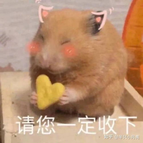 四六级最后一天如何临时抱佛脚蒙题技巧超全预测题心疼你还没点开看救命啦